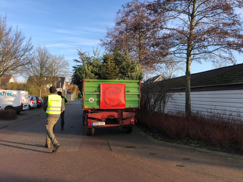 Tannenbaum Sammelaktion Tannenbaum Sammelaktion